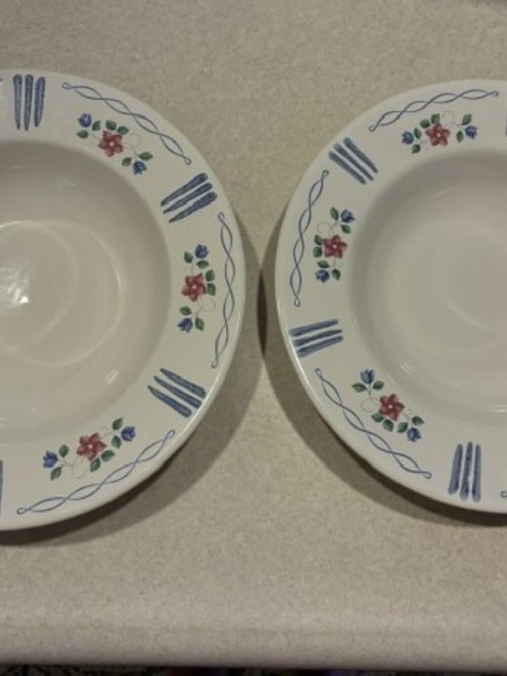 Set of 2 Pfaltzgraff Bonnie Brae Large Rim 9" Stoneware Soup Bowls Cottagecore